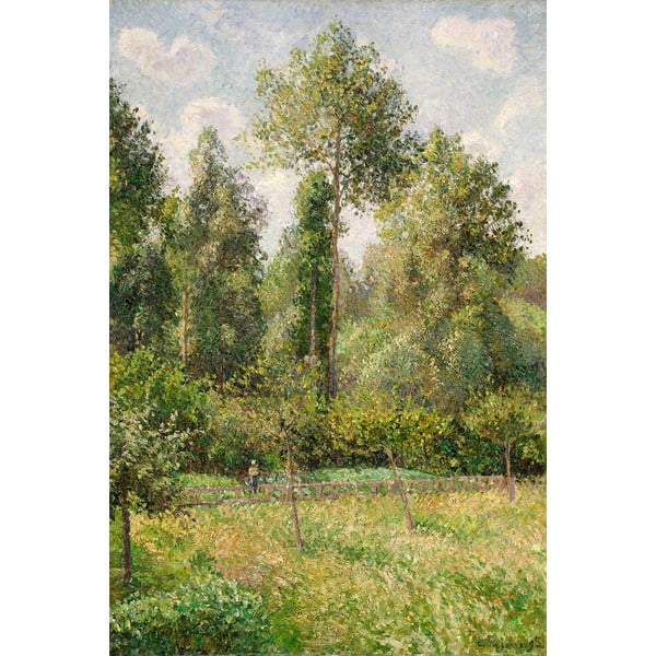 Riproduzione pittorica 60x80 cm Camille Pissarro - Poplars, Éragny - Fedkolor