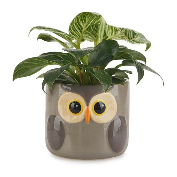 Vaso in ceramica ø 13,5 cm Owl - Balvi-image-2
