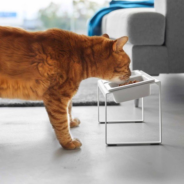Set di ciotole con supporto in ceramica per animali domestici Nooks – YAMAZAKI-image-1
