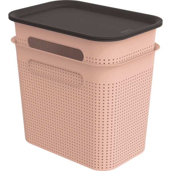 Set di 2 contenitori in plastica rosa chiaro con coperchio 18,5x27x26 cm Brisen - Rotho