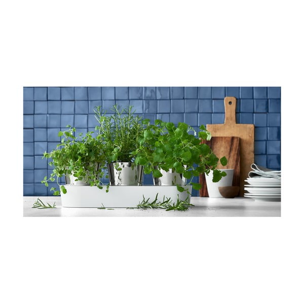 Set di 3 vasi in metallo per erbe aromatiche/auto-irrigazione ø 11 cm - WMF-image-1