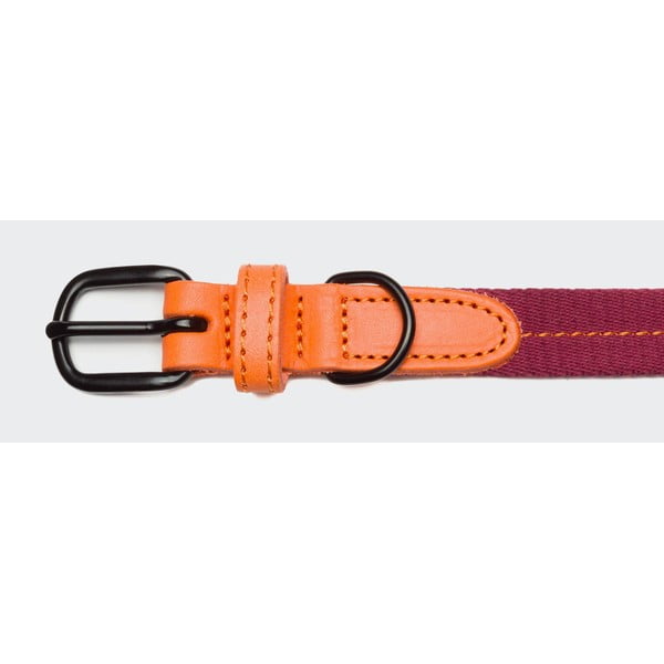Collare arancione taglia XS Madeira - Cloud7-image-1