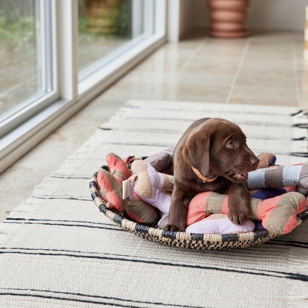 Giocattolo per cani Ashi – OYOY Living Design-image-3