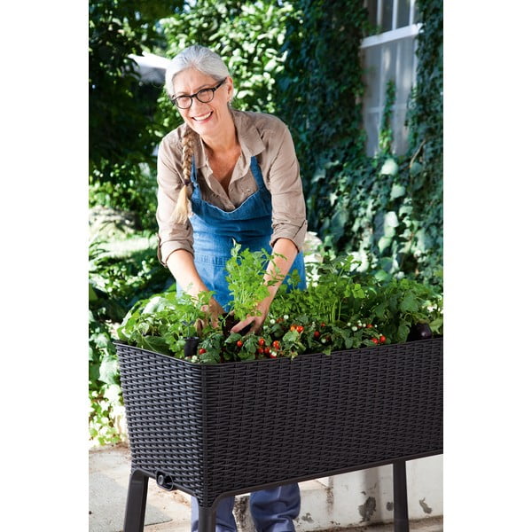 Petto Easy Grow - Keter-image-3