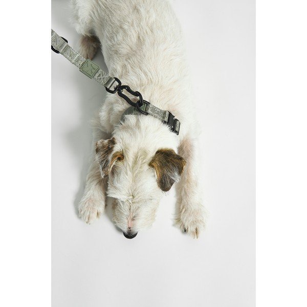 Collare verde taglia L/XL lunghezza 40 cm Modena Grolive L/XL - MiaCara-image-1