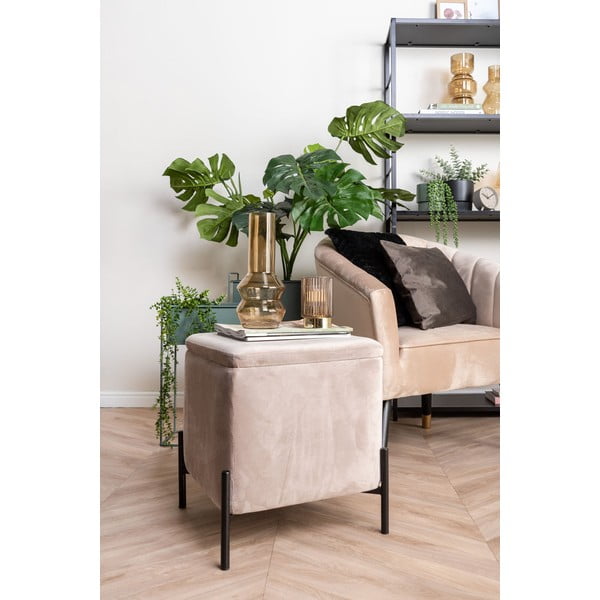 Cuscino in velluto nero Tender, 40 x 40 cm - PT LIVING-image-4