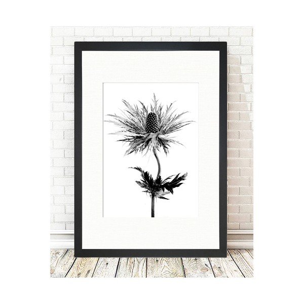 Poster 24x29 cm Thistle Vibes - Tablo Center-image-1