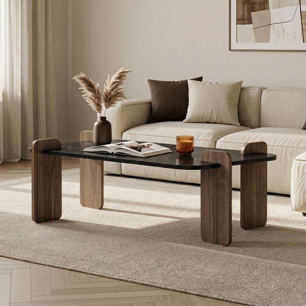 Tavolino da salotto nero 60x120 cm Renard – Nordure-image-1