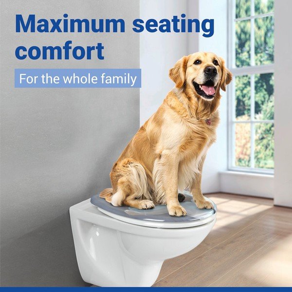 Sedile WC con chiusura Easy-Close (automatica) 36,8 x 43 Fleur – Allstar-image-1