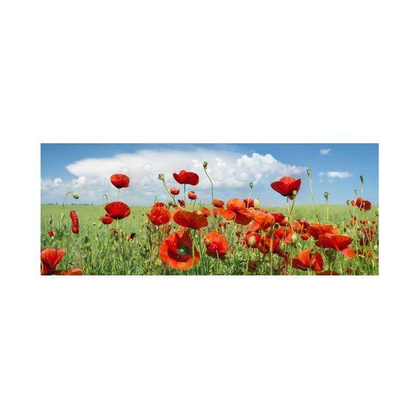 Pittura su vetro Saskia, 92 x 36 cm - Insigne-image-1