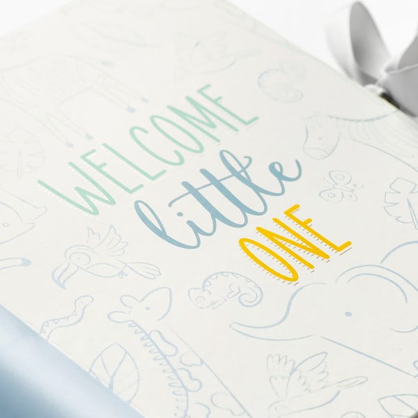 Diario di nascita 98 p. Blue - Busy B-image-1