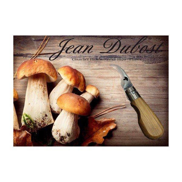 Nůž na čištění hub Jean Dubost-image-1