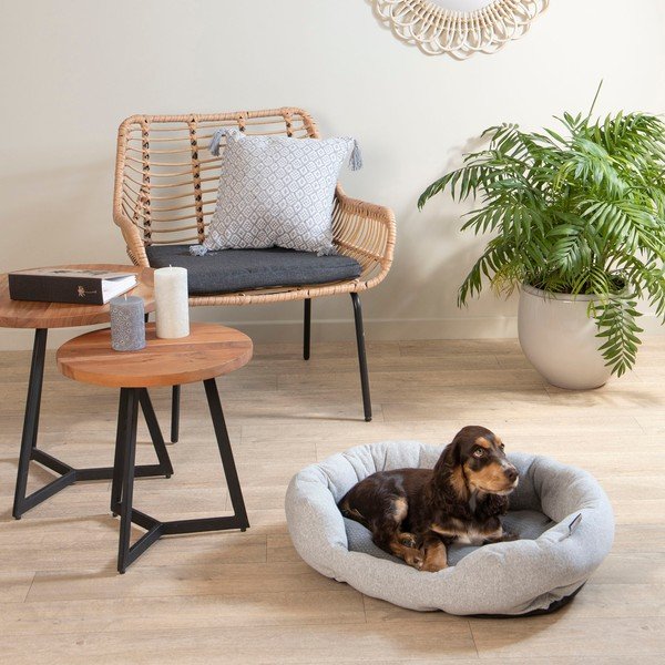 Letto grigio per cani 45x60 cm - Love Story-image-3