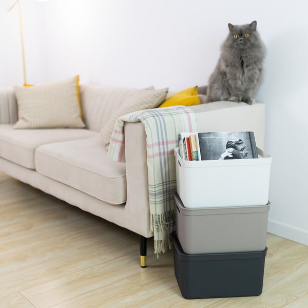 Scatola di plastica con coperchio Deco - Rotho-image-1