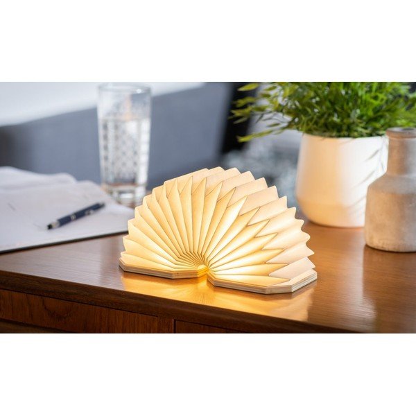 Decorazione luminosa di colore naturale con ricarica USB Accordion – Gingko-image-1