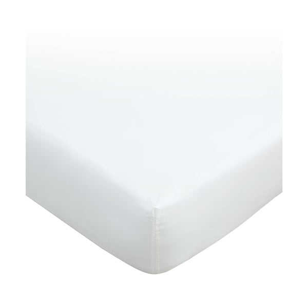 Lenzuolo bianco in cotone egiziano elasticizzato 135x190 cm - Bianca