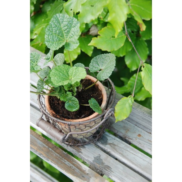 Vaso in terracotta ø 15 cm - Esschert Design-image-2