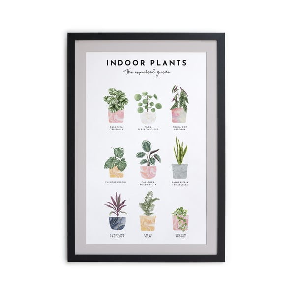 Pittura murale in cornice , 30 x 40 cm Indoor Plants - Really Nice Things