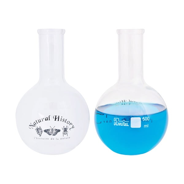 Vaso in vetro (altezza 23 cm) Natural History - Esschert Design-image-2