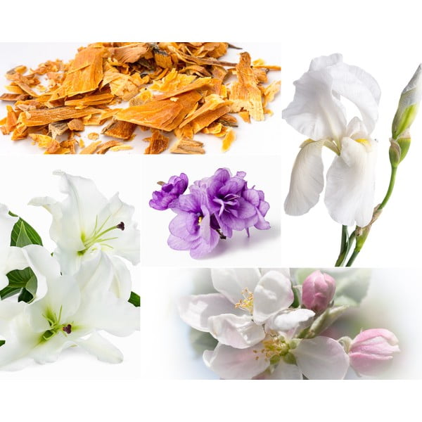 Candela di soia profumata tempo di combustione 60 h Muscs Poudres - Privé Home-image-2