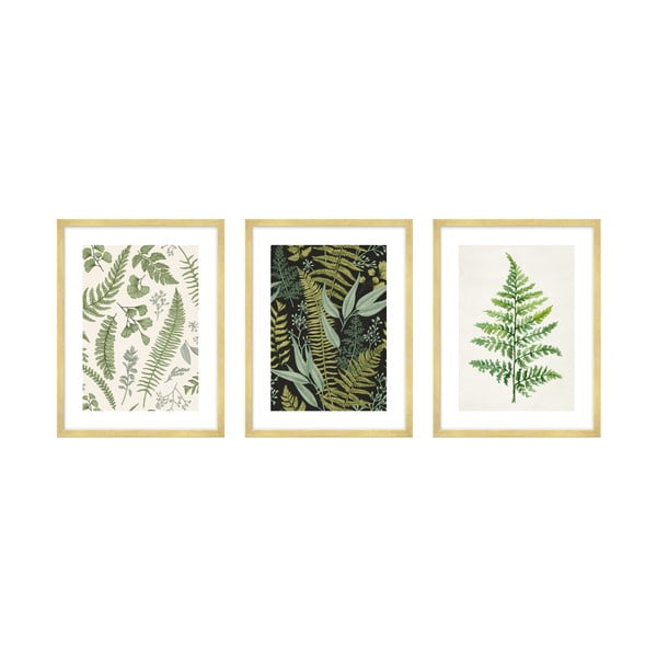 Set di 3 poster 30x40 cm Fern - knor