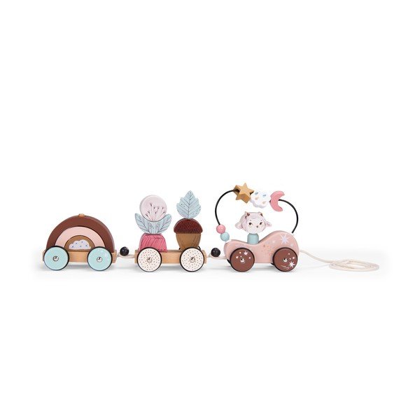 Giocattolo da tirare Train - Moulin Roty