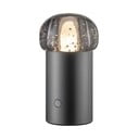 Luce LED portatile USB dimmerabile per esterni ø 10 cm Iris - Blomus