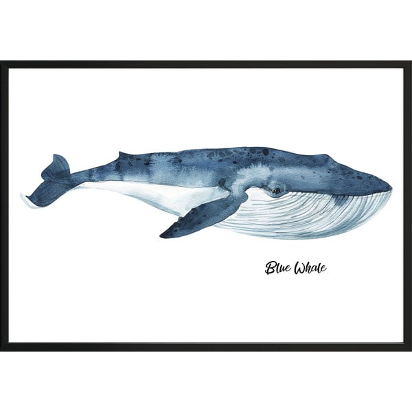 Poster da parete in cornice Balena, 70 x 100 cm Blue Whale - DecoKing