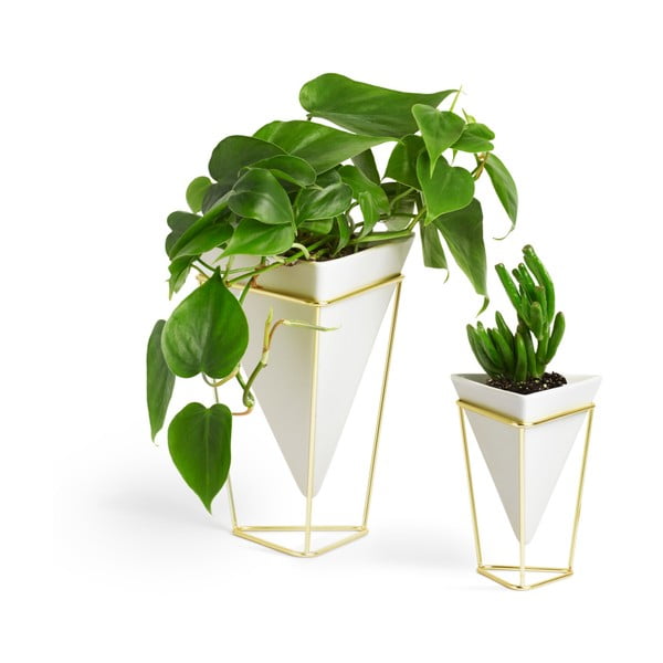 Set di 2 coprivasi in ceramica per erbe aromatiche Trigg - Umbra-image-3