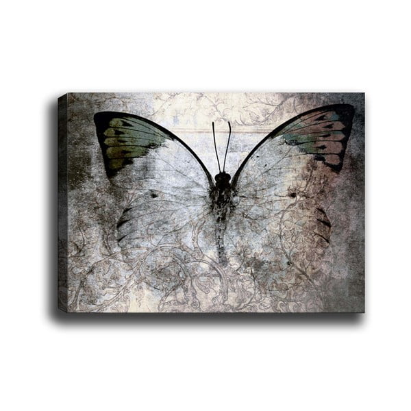 Pittura , 70 x 50 cm Fading Butterfly - Tablo Center