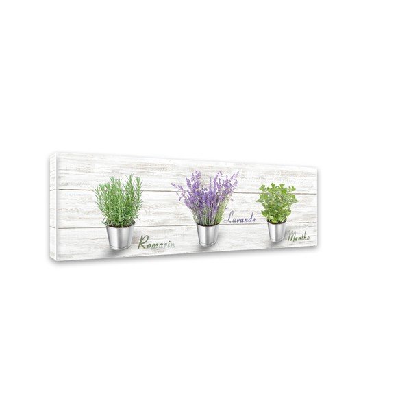 Immagine su tela, 27 x 75 cm Herbs Shabby - Styler-image-2