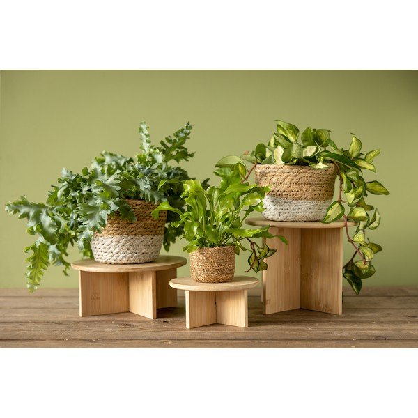 Supporto per fiori in bambù ø 25 cm (altezza totale 19,5 cm) – Esschert Design-image-3