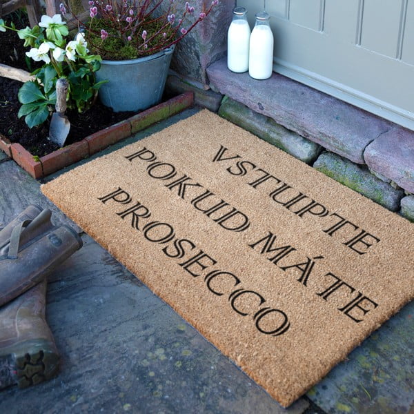 Zerbino in cocco 40x60 cm Prosecco - Artsy Doormats-image-3