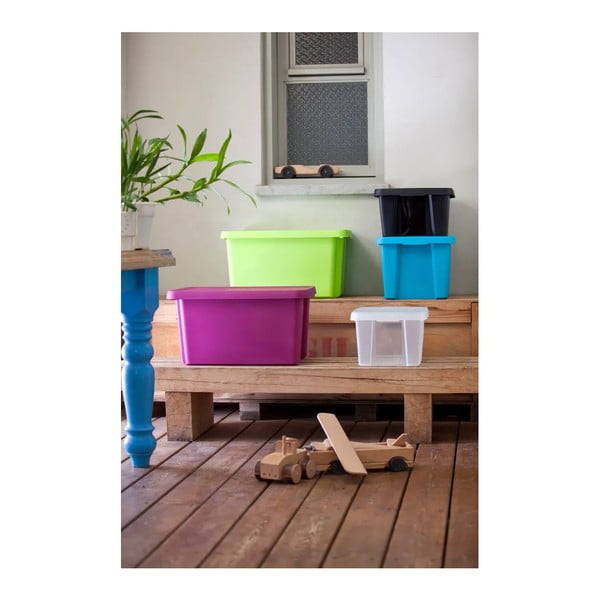 Cassetta di stoccaggio blu con coperchio , 45 l Essentials - Curver-image-2