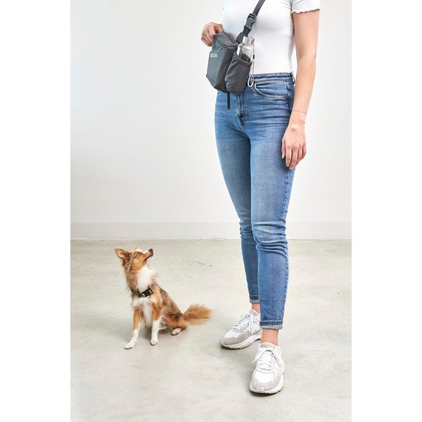 Borsetta per passeggio con cani Andiamo Asphalt – MiaCara-image-3