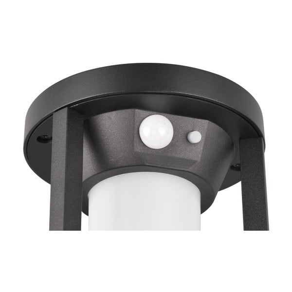 Apparecchio per esterni a LED con sensore di movimento (altezza 25 cm) Carmo - Trio-image-2