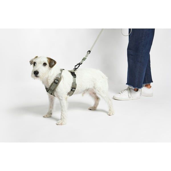 Pettorina verde taglia S lunghezza 30 cm Modena Grolive S - MiaCara-image-2