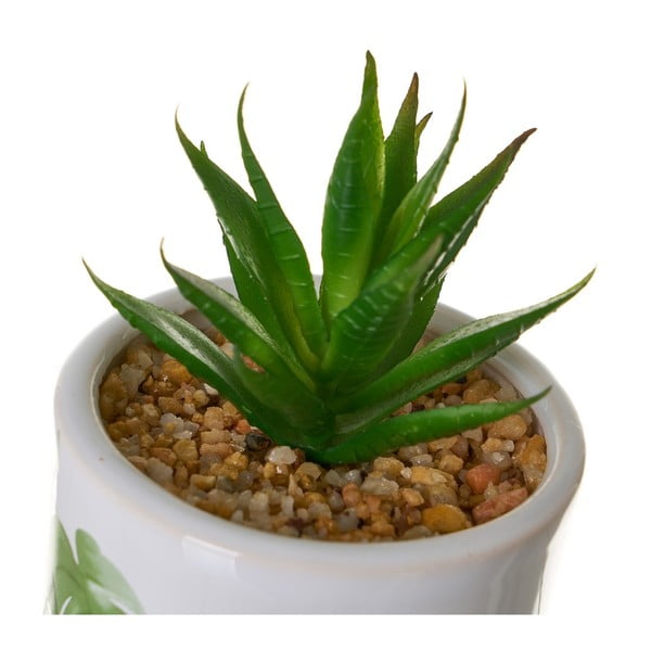 Piante artificiali in set da 4 Cactus - Casa Selección-image-1