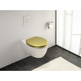 Sedile del water 38 x 41 cm Aldeno - Wenko