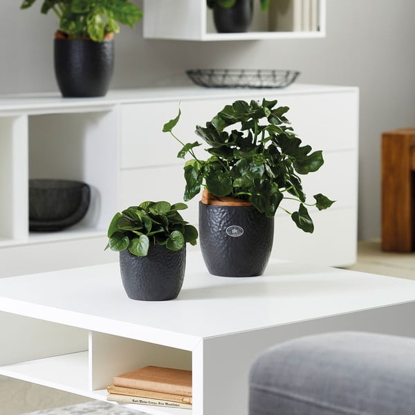 Vaso in ceramica ø 27 cm Boston Mate - Big pots-image-1