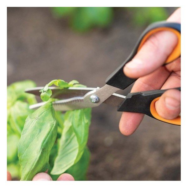 Forbici in acciaio inox Solid Veggie per tagliare erbe e verdure - Fiskars-image-1