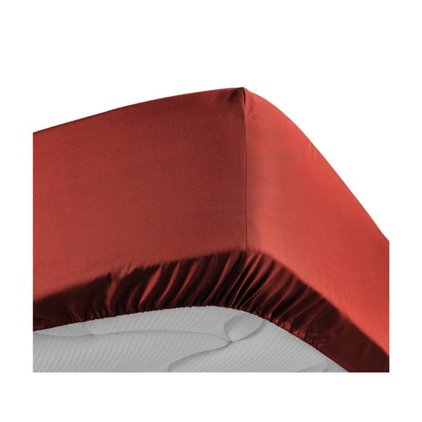 Lenzuolo elasticizzato in percalle di cotone color mattone 180x200 cm Percaline - douceur d'intérieur-image-3