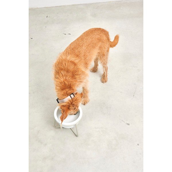 Ciotola con supporto in porcellana per cane ø 20 cm Pranzo Greige M – MiaCara-image-4