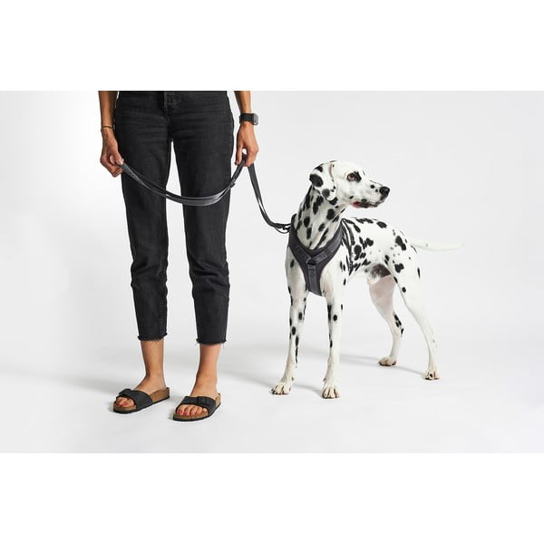 Pettorina grigio scuro taglia L lunghezza 42 cm Modena Asphalt L - MiaCara-image-1