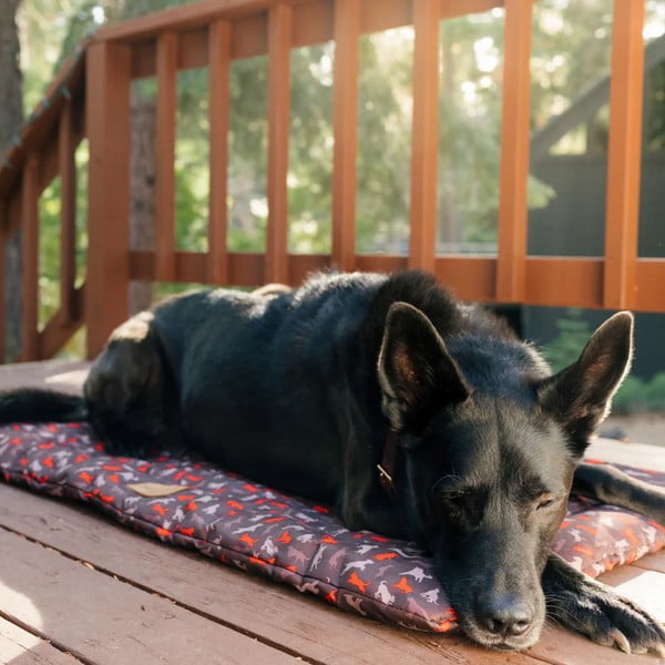 Cuccia da viaggio marrone per cane 50x75 cm Outdoor Chill Pad Mocha M – P.L.A.Y.-image-1