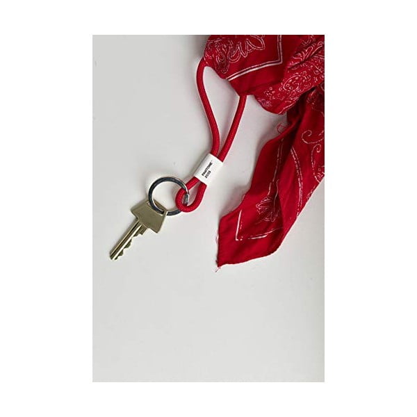 Anello di chiave verde Green 15-0343 - Pantone-image-1