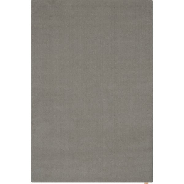 Tappeto in lana grigio 133x190 cm Calisia M Smooth - Agnella