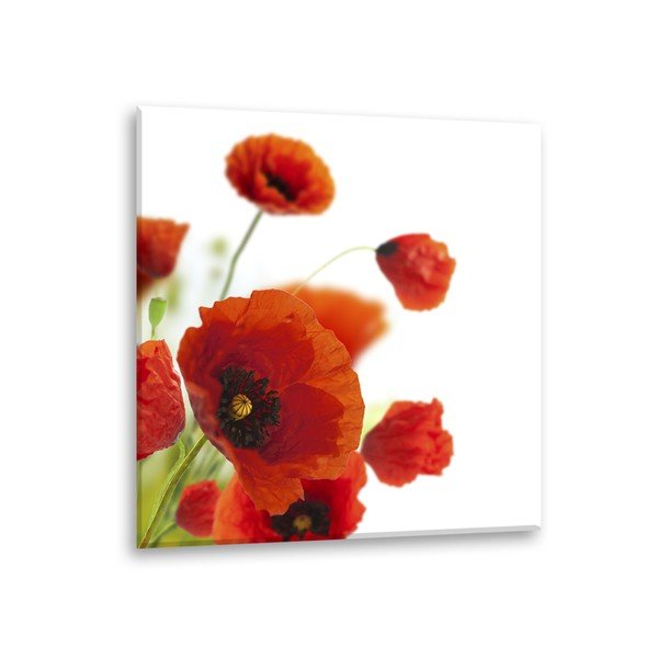 Immagine Voce Papaveri Papaveri, 30 x 30 cm - Styler-image-2