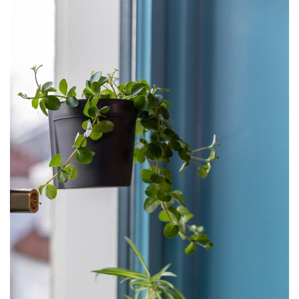 Vasi sospesi in plastica in set da 2 pezzi ø 10 cm - Esschert Design-image-4