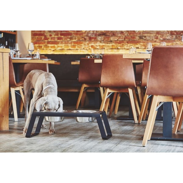 Set di ciotole in metallo con base rialzata per cani Desco Black L - MiaCara-image-1